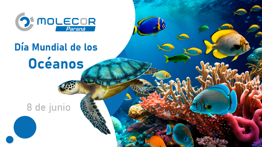 Molecor y OCS, alianza para evitar la pérdida de microplásticos