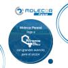 Molecor Paraná llega a Expo Pioneros del Chaco con grandes avances para el sector