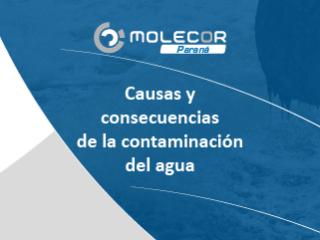 Causas y consecuencias de la contaminación del agua