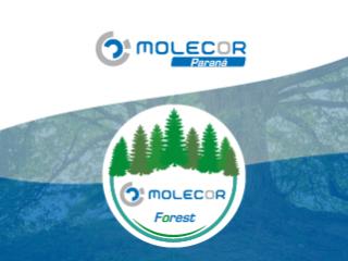 Molecor crea un bosque de 600 árboles en el Día de la Tierra