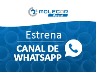 Molecor Paraná lanza su nuevo Canal de WhatsApp